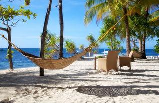 娱乐吃瓜岛,揭秘娱乐圈背后的那些事儿